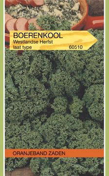 Boerenkool Westlandse Herfst laat type