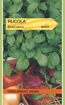 Gewone rucola Mosterdkruid