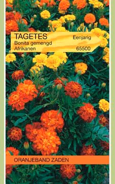 Afrikaan Bonita Tagetes gemengd 25cm
