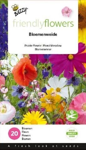 Buzzy Bloemenwijde eenjarig
