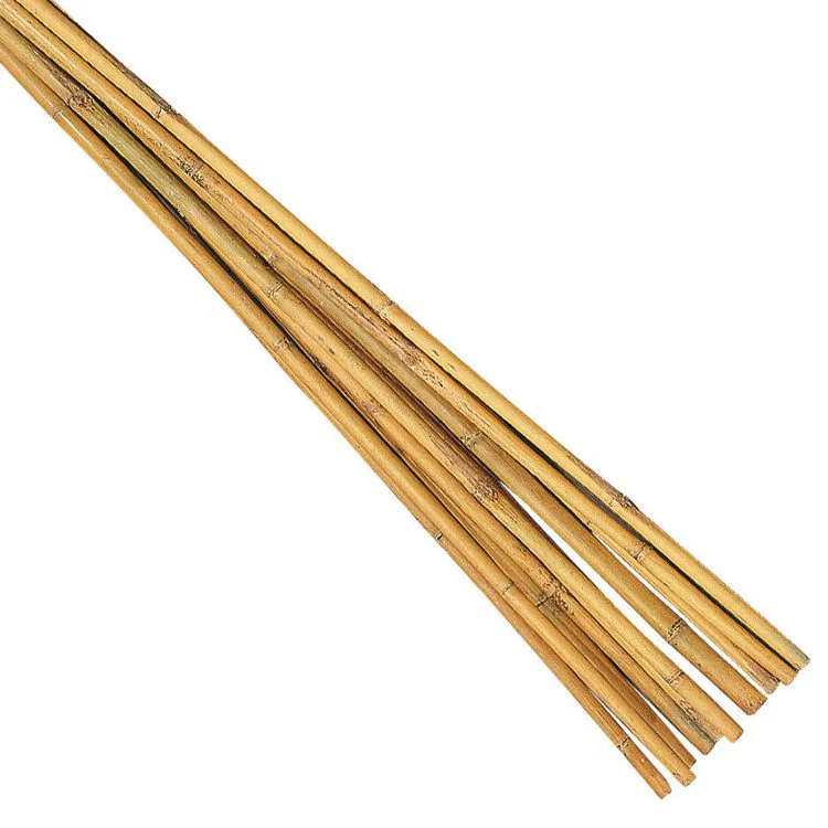 Talen bamboestok 120cm 5st