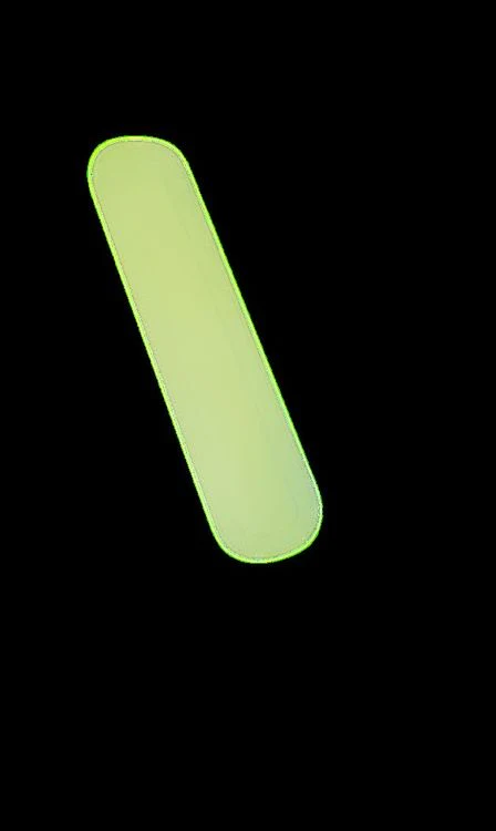SecuCare sticker multicolor 21,5x3cm