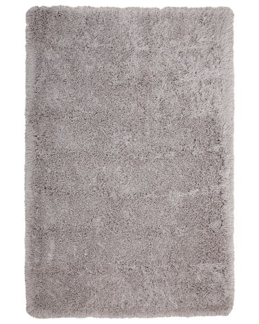 Shaggy Rug CIDE Light Grey 200 x 300 cm