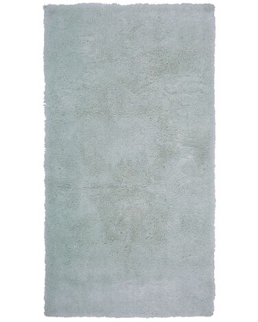 Tapis à poils longs EVREN Vert menthe 80 x 150 cm