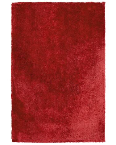 Hoogpoligvloerkleed EVREN Rood 200 x 300 cm