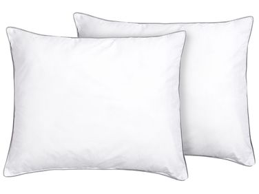 Set of 2 Bed Pillows PELISTER Low Microfibre 50 x 60 cm White