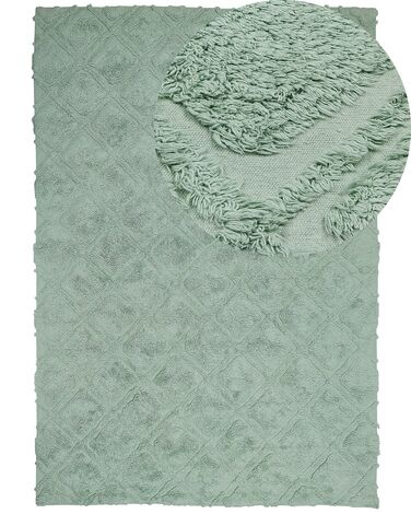 Tapis HATAY Vert clair 160 x 230 cm Coton