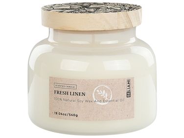 Scented Candle DELIGHT BLISS Soy Wax Fresh Notes